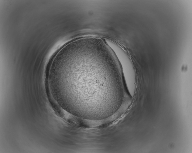 X0000092000150200709201516