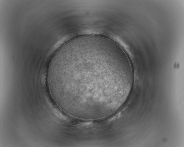 X0000092000153200709201516