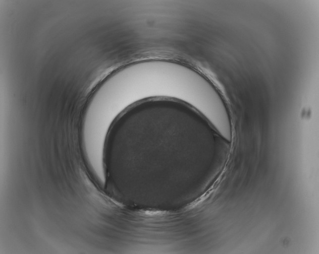 X0000092000154200709201516