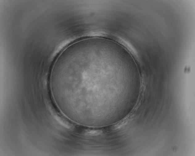 X0000092000155200709201516