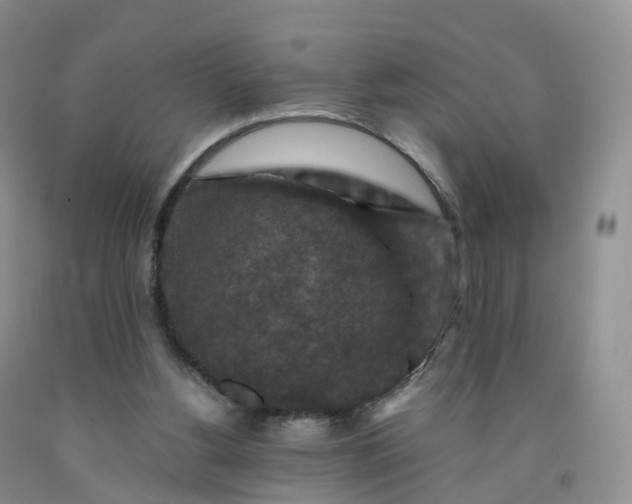 X0000092000156200709201516