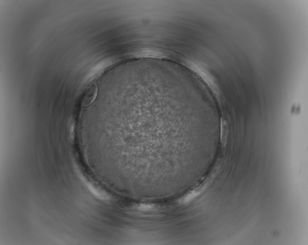 X0000092000157200709201516