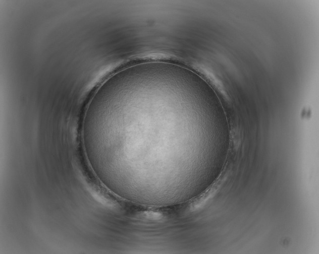 X0000092000159200709201516