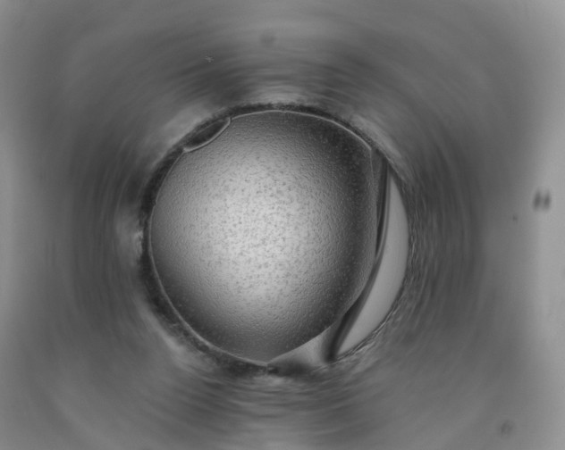 X0000092000160200709201516