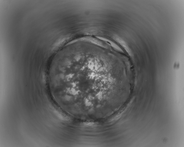 X0000092000161200709201516