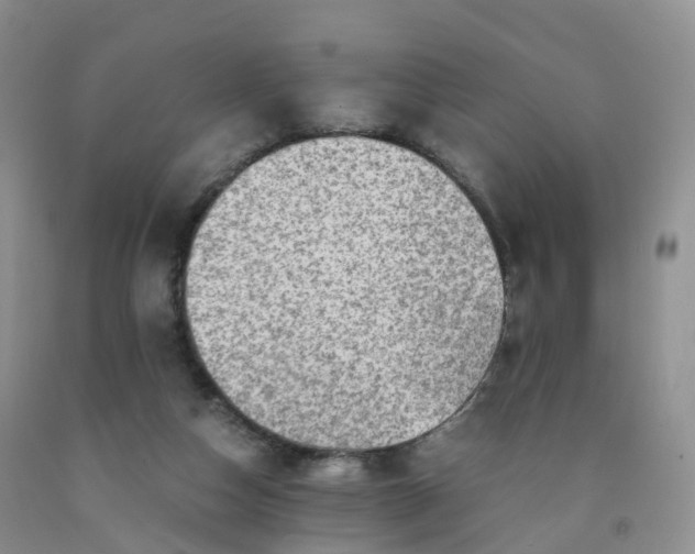 X0000092000162200709201516