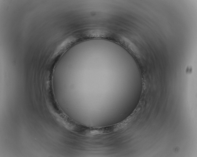 X0000092000163200709201516