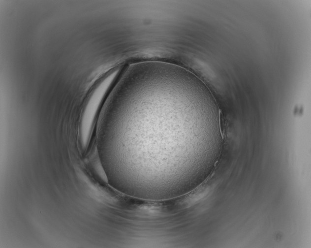 X0000092000164200709201516