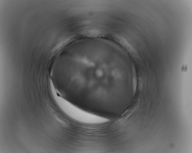 X0000092000165200709201516