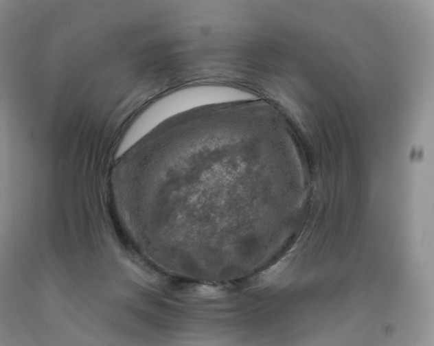 X0000092000166200709201516