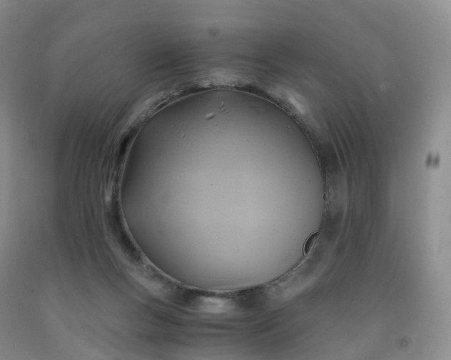 X0000092000167200709201516