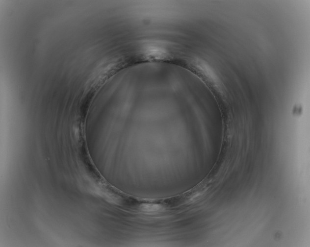 X0000092000169200709201516