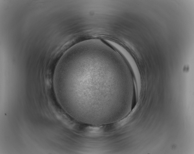 X0000092000170200709201516