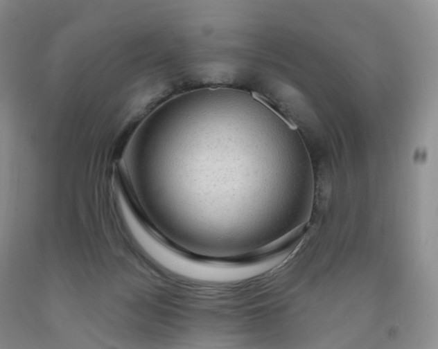 X0000092000172200709201516