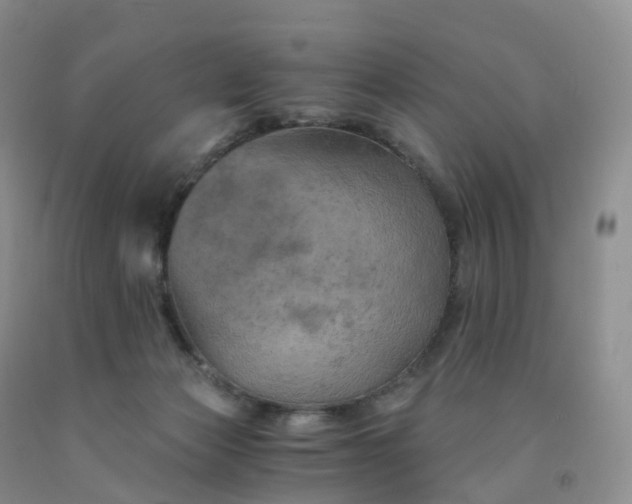 X0000092000173200709201516