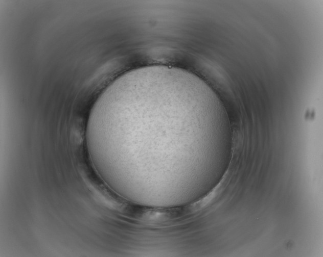 X0000092000174200709201516