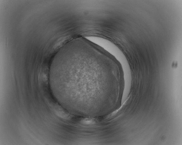 X0000092000175200709201516