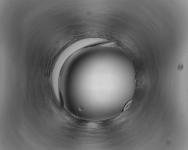 X0000092000176200709201516