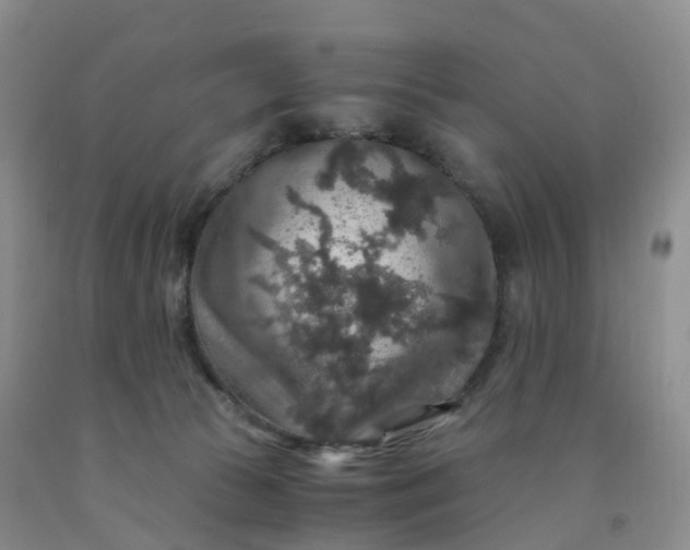 X0000092000177200709201516