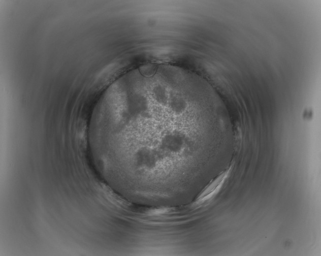 X0000092000178200709201516