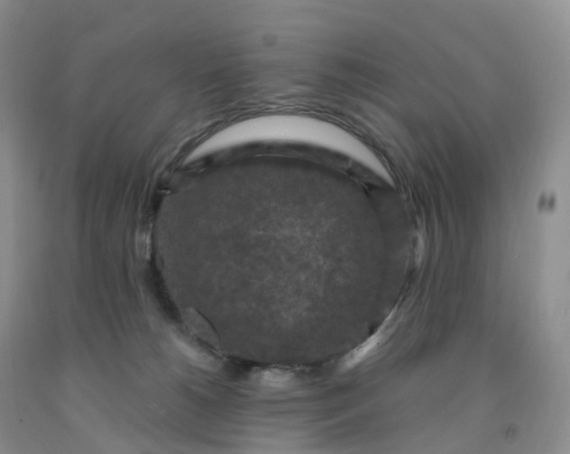 X0000092000180200709201516