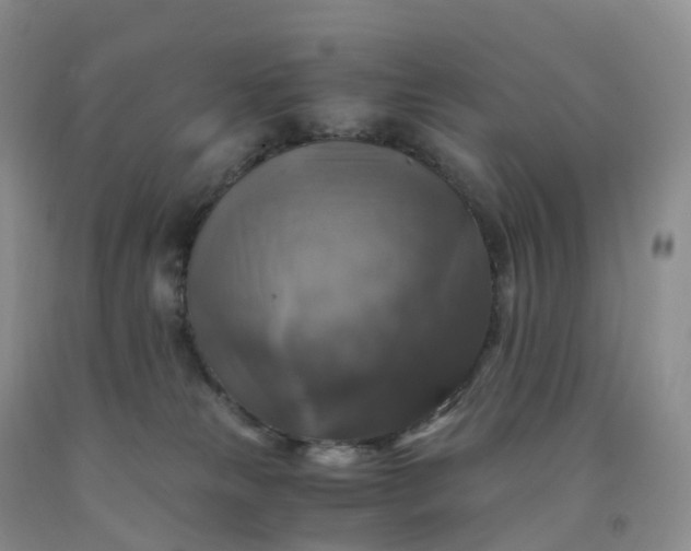 X0000092000181200709201516