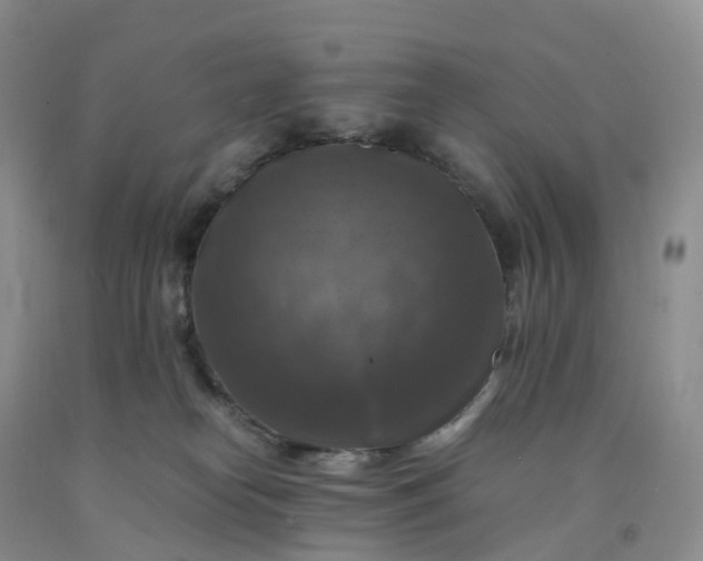 X0000092000182200709201516