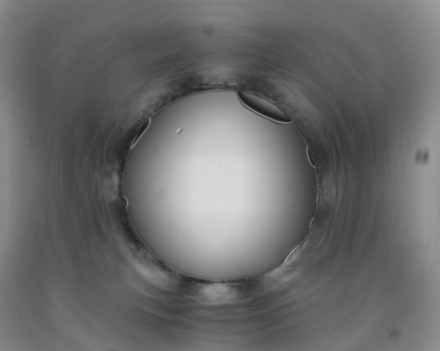 X0000092000183200709201516