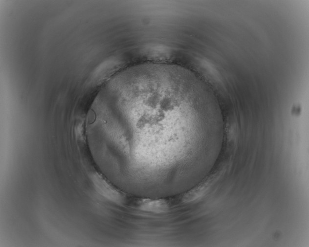 X0000092000185200709201516