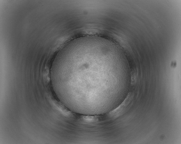 X0000092000187200709201517