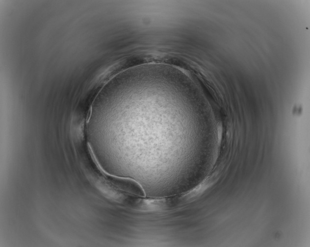 X0000092000188200709201517