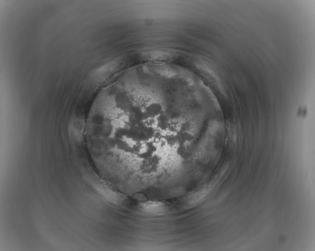 X0000092000189200709201517