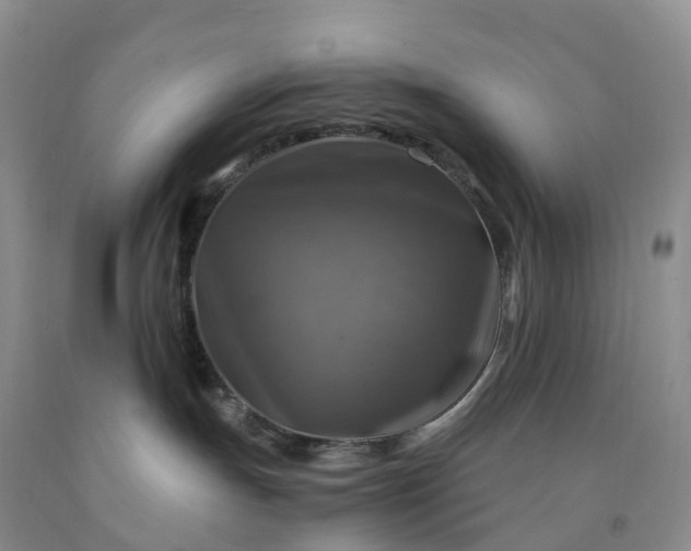 X0000092000191200709201517