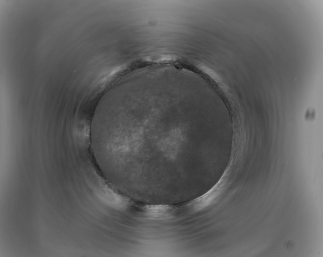 X0000092000192200709201517