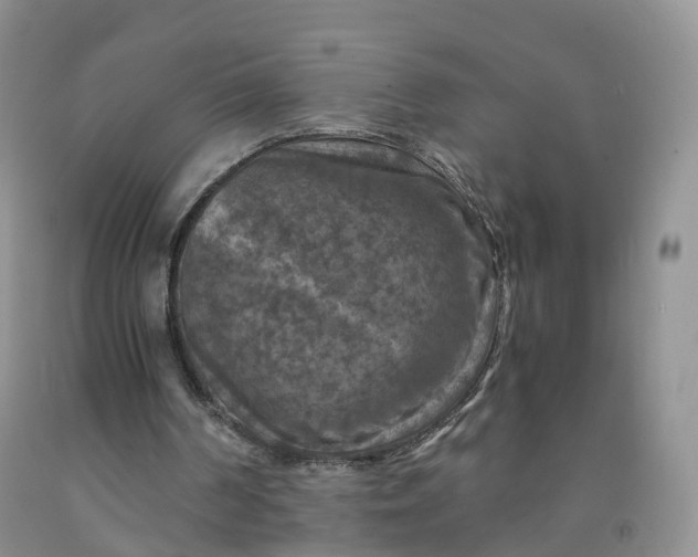 X0000092000194200709201516