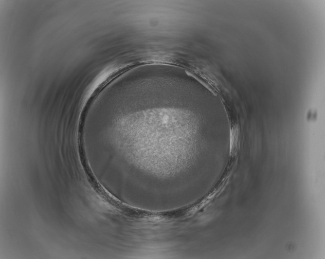 X0000092000195200709201516