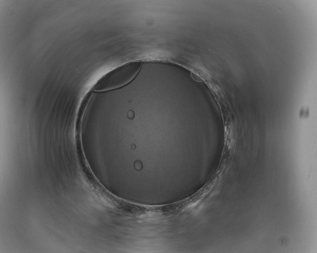 X0000092000196200709201516