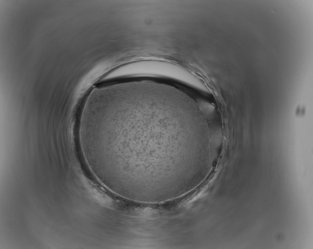 X0000092000197200709201516