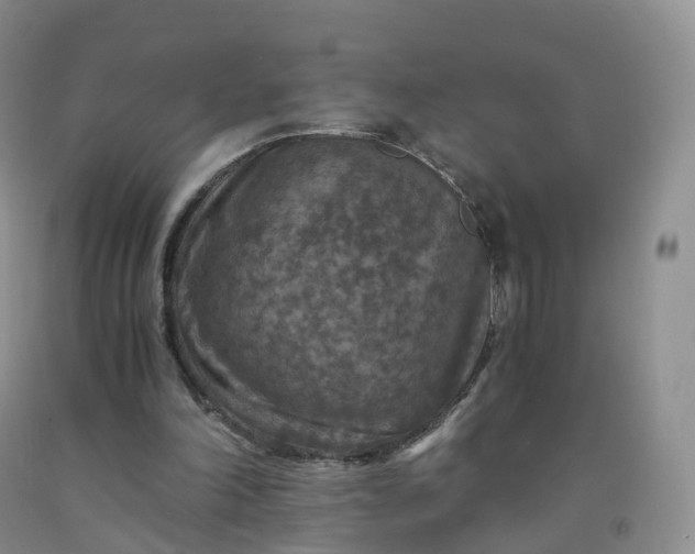 X0000092000198200709201516