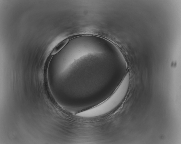 X0000092000200200709201516