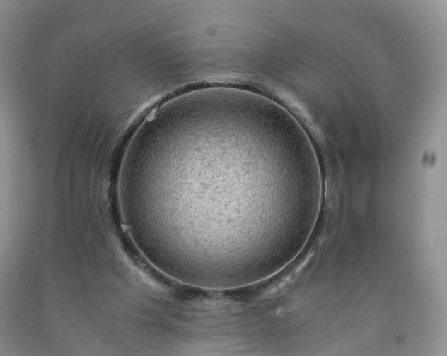 X0000092000201200709201516