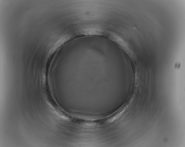 X0000092000202200709201516