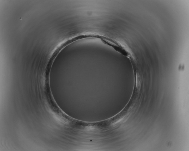 X0000092000204200709201516