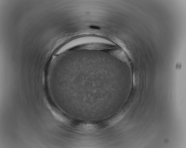 X0000092000205200709201516