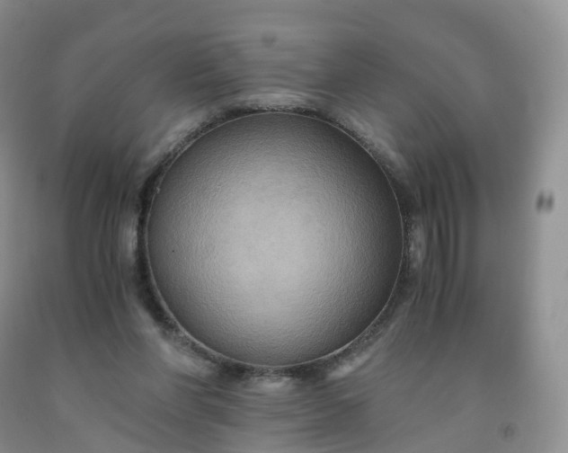 X0000092000206200709201516