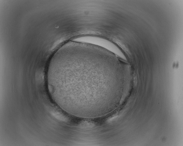 X0000092000207200709201516