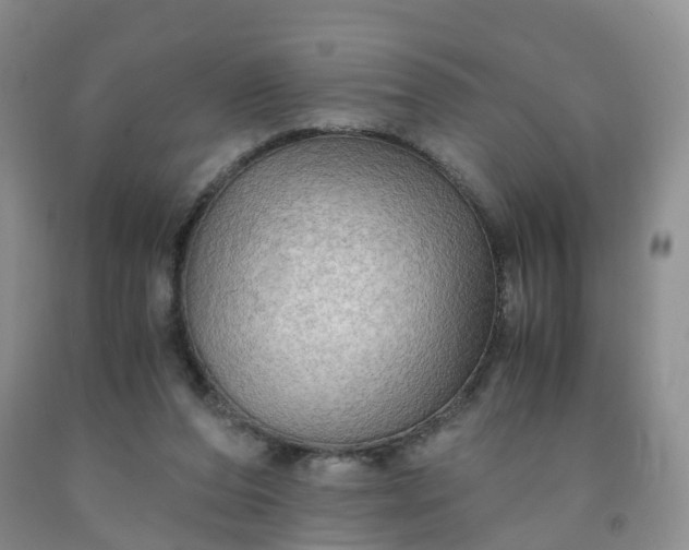 X0000092000208200709201516