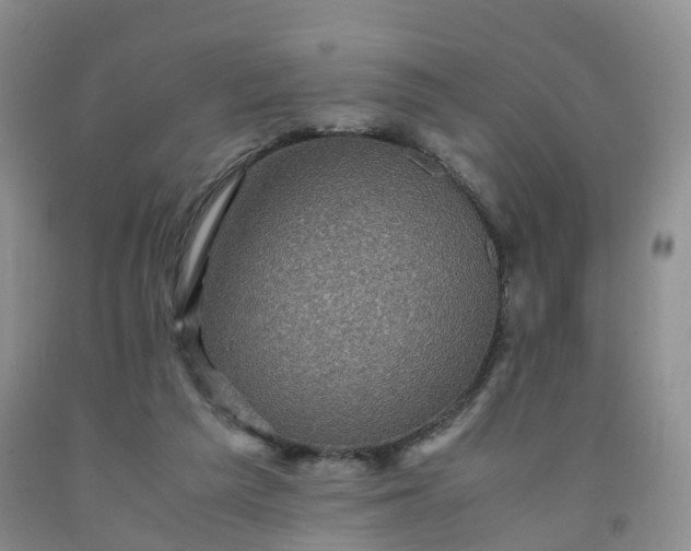 X0000092000209200709201516