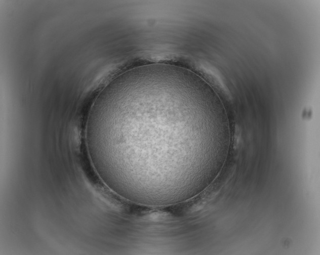 X0000092000210200709201516