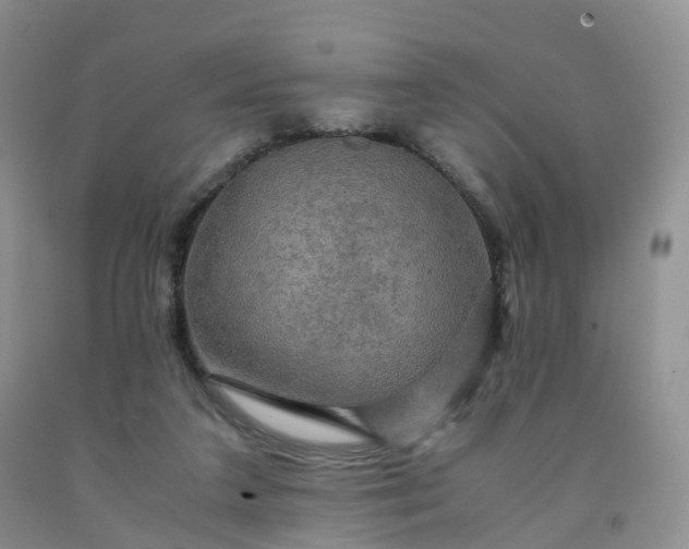 X0000092000211200709201516